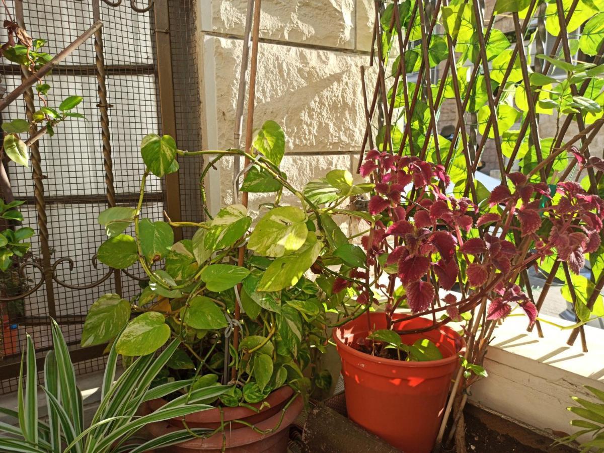 Zohar'S Apartment حيفا المظهر الخارجي الصورة